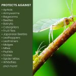 Natria 706250A Neem Oil Spray for Plants Pest Organic Disease Control - Image 3